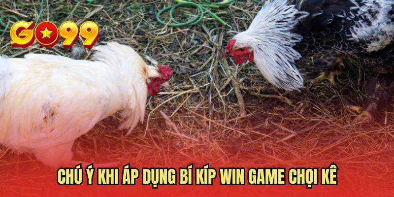 Chú ý khi áp dụng bí kíp win game chọi kê
