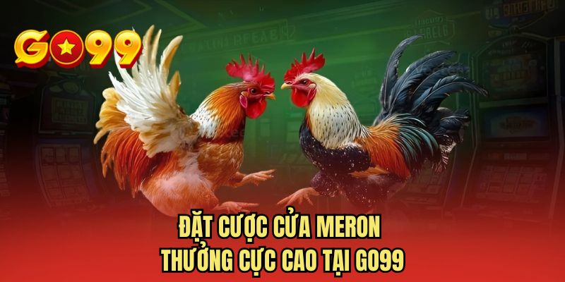 Đặt cược cửa meron thưởng cực cao tại GO99