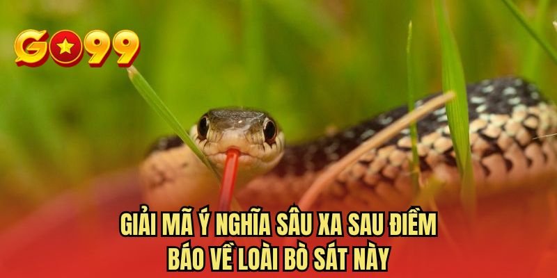 Giải mã ý nghĩa sâu xa sau điềm báo về loài bò sát này