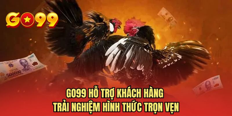 GO99 hỗ trợ khách hàng trải nghiệm hình thức trọn vẹn