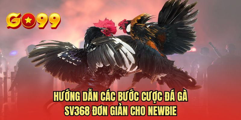 Hướng dẫn các bước cược đá gà SV368 đơn giản cho newbie