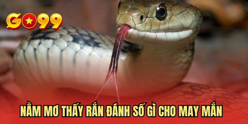 Nằm mơ thấy rắn đánh số gì cho may mắn