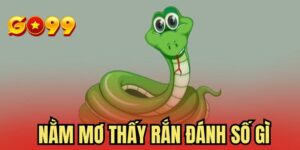 Nằm Mơ Thấy Rắn Đánh Số Gì? Giải Mã Giấc Mơ Và Con Số