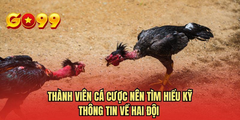 Thành viên cá cược nên tìm hiểu kỹ thông tin về hai đội