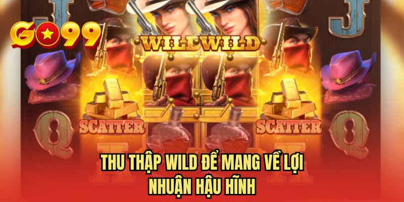 Thu thập Wild để mang về lợi nhuận hậu hĩnh